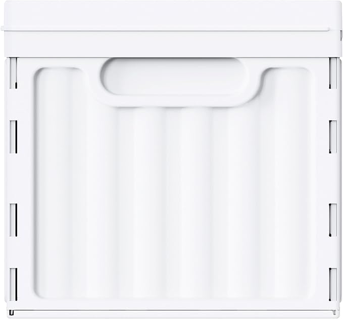 Oterri Plastic File Box with Lid for Letter Size Hanging File Folders, Home, Office, School, File Cabinet, Pure White, Large-1 Pack without Folders