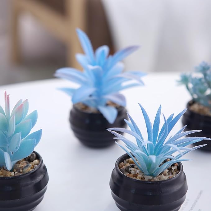 GREENTIME 6 Pcs Blue Mini Artificial Succulents in Plastic Pots Small Fake Plant Succulent Plant Graduation & Father Party Decorations Classmate Gift Faux Indoor Decor Bedroom Desk Bathroom Office