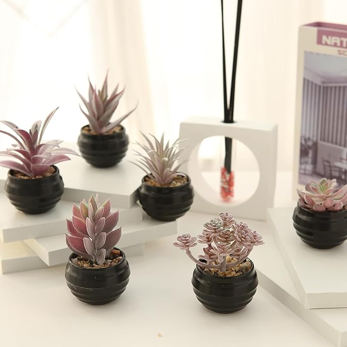 GREENTIME 6 Pcs Purple Artificial Succulents in Plastic Pots Graduation Decorations Classmate Gift Small Fake Succulent Plant for Women Room Office Bedroom Bathroom Table Shelf Teacher Appreciation