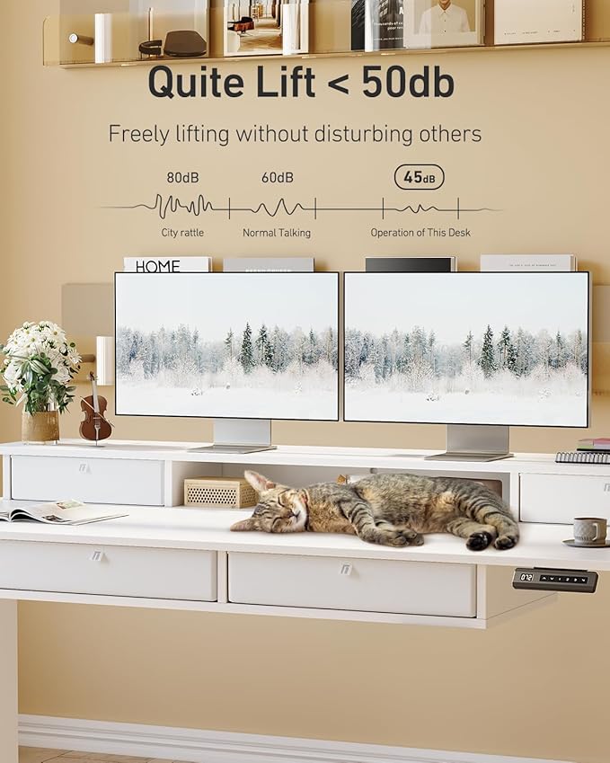 FEZIBO 48 x 24 inch Standing Desk with Drawers, Height Adjustable Electric Workstation, Computer Sit Stand Up Table with Large Storage Shelf 4 Drawers and 2 Hooks, White
