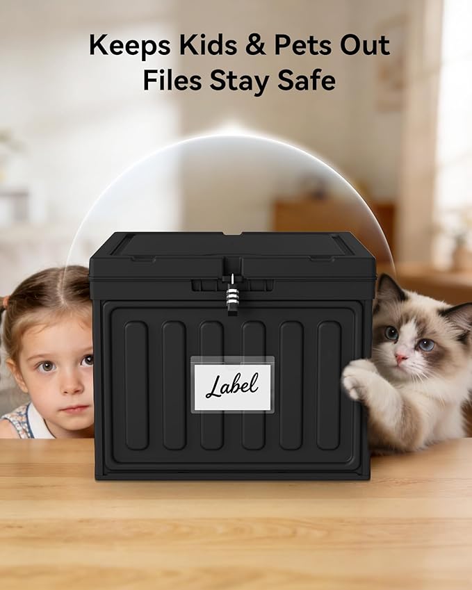 Oterri Plastic File Box with Lid for Letter Size Hanging File Folders, Hanging File Folder Box for Home, Office, School, File Cabinet, Assembly File Organizer, Black,Large-2 Pack Without Folders