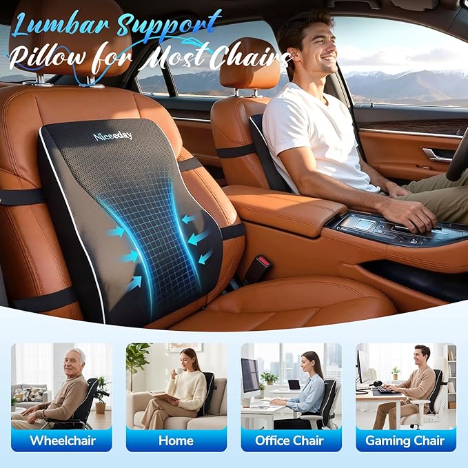 Niceeday Lumbar Support Pillow for Office Chair Car Lumbar Pillow Lower Back Pain Relief Memory Foam Back Cushion with 3D Mesh Cover, Back Pillow Ergonomic Orthopedic Back Rest