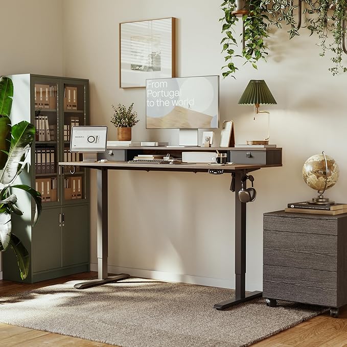 Agilestic 55 x 24 Inches Height Adjustable Electric Standing Desk with 2 Drawers, Stand Up Electric Desk Adjustable Height, Sit Stand Computer Gaming Table with Splice Board, Rustic Brown
