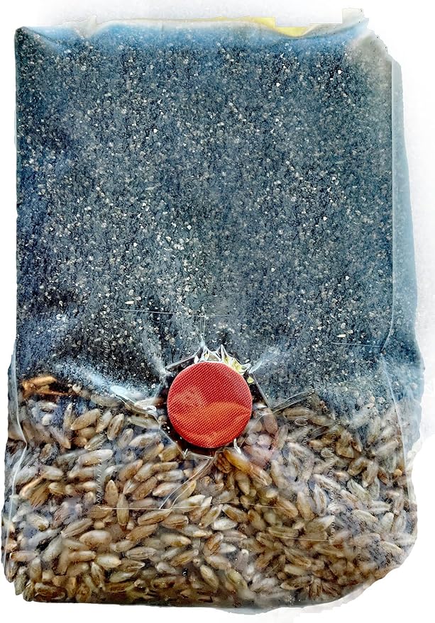 Shroomability Mini All-in-One Mushroom Grow Bags | Mushroom Grow Kit | Rye & Coco Coir Casing Mix (12 Bags)