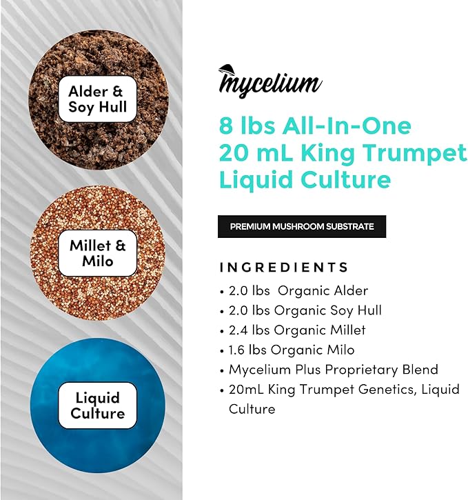 Mycelium Mushroom Growing Kit, King Trumpet Gourmet I Alder & Soy Hull Substrate I High Yield Proprietary Mix I Sterile Grow Bag with 20ml Liquid Culture Syringe for Starter & Pro Home Growers, 8lbs