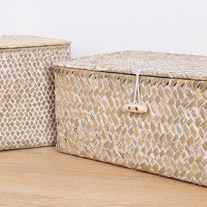 FEIALNDUO Wicker Shelf Baskets with Lid,Seagrass Storage Basket Bins Rectangular Handwoven Basket Boxes for Shelves Desktop Home Organizer (Whitewash, Small)
