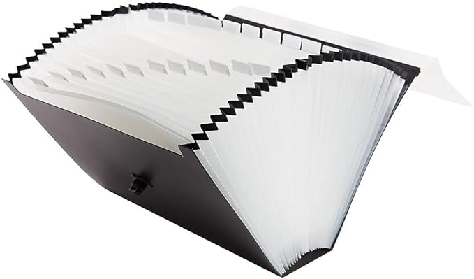 Staples Expanding Case File, 26‑Pocket Accordion Organizer, Letter Size, Heavy‑Duty Poly with Carry Handle & Secure Closure, Black
