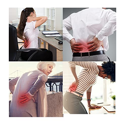 Men Women Back Brace Breathable Waist Lumbar Lower Back Support Belt Waist Compression with Adjustable Strap for Sciatica,Herniated Disc, Scoliosis Back Pain Relief, Heavy lifting Removable Lumbar Pad (Khaki, XL for Waist girth 35-42 inches)