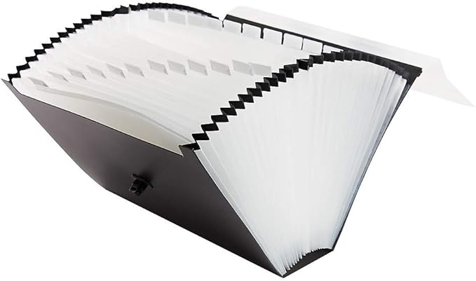Staples Expanding Case File, 26‑Pocket Accordion Organizer, Letter Size, Heavy‑Duty Poly with Carry Handle & Secure Closure, Black