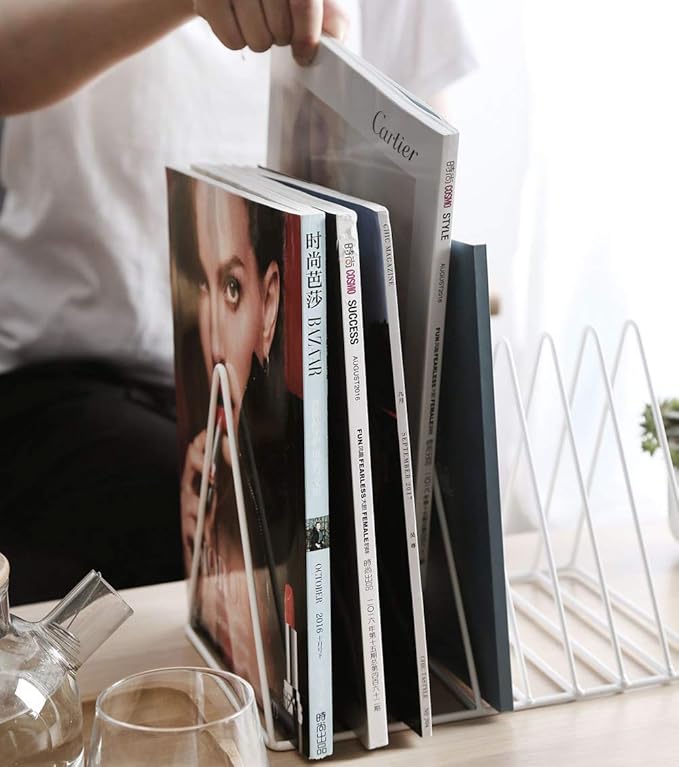 Sooyee 9 Slot White Magazine Holder, Desktop File Sorter Organizer Triangle Bookshelf Decor for Home Office, Iron Wire, 10.2" L x 7" W x 6.9" H
