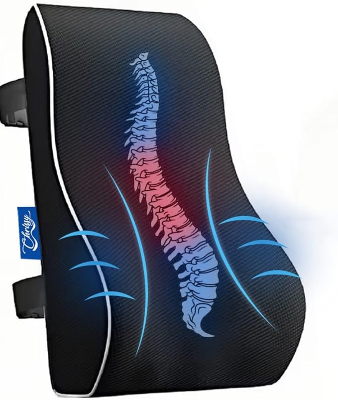 Chrissy Lumbar Support Pillow for Office Chair & Car | Memory Foam Back Cushion for Pain Relief & Posture Support | Breathable Mesh Cover, Adjustable Straps, Removable & Washable Cover