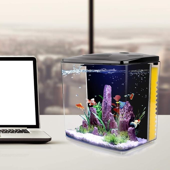 FREESEA 1.4 Gallon Betta Aquarium Starter Kits Square Fish Tank with LED Light and Filter Pump