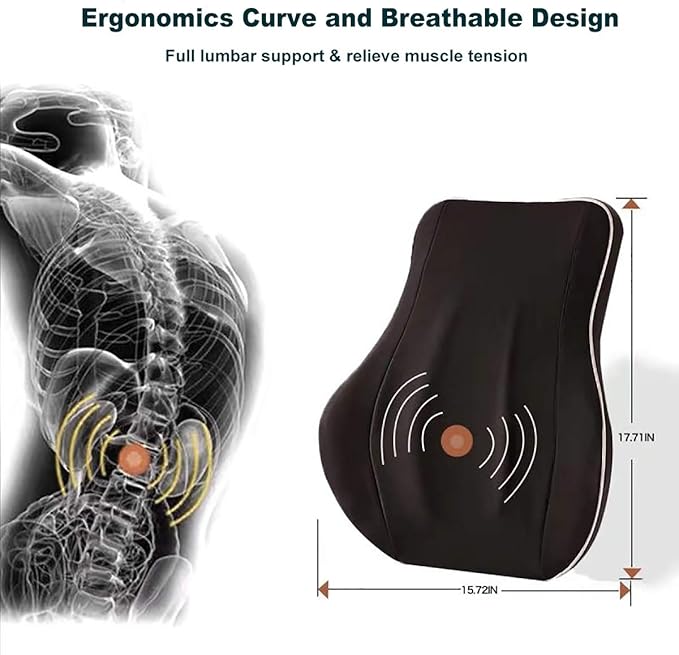 Lumbar Support Pillow/Back Cushion,Memory Foam Orthopedic Backrest with Breathable 3D Mesh for Car Seat,Office/Computer Chair,Wheelchair and Recliner,Ergonomic Design for Back Pain