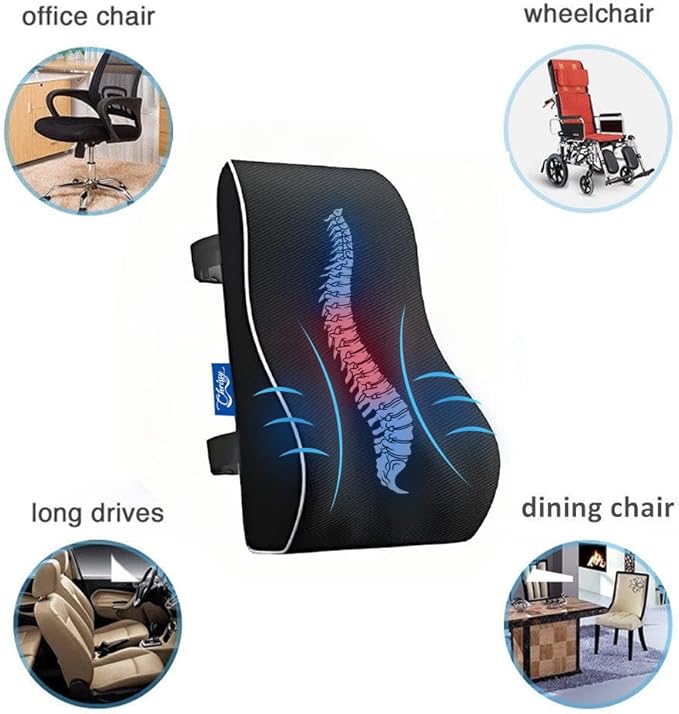 Chrissy Lumbar Support Pillow for Office Chair & Car | Memory Foam Back Cushion for Pain Relief & Posture Support | Breathable Mesh Cover, Adjustable Straps, Removable & Washable Cover