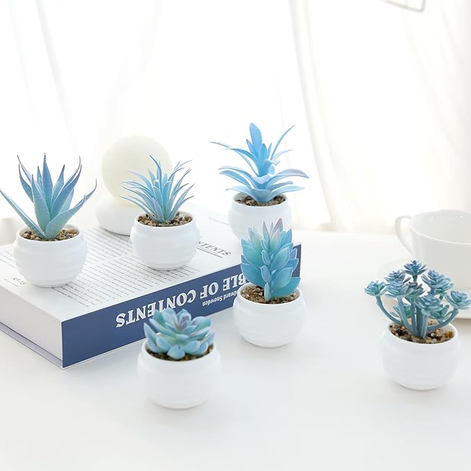 GREENTIME 6 Pcs Blue Mini Artificial Succulents in Plastic Pots Small Fake Plant Succulent Plant Graduation & Father Party Decorations Classmate Gift Faux Indoor Decor Bedroom Desk Bathroom Shelf