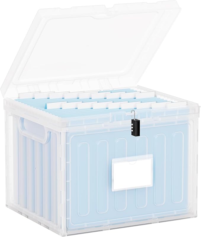 Oterri Plastic File Box with Lid for Letter Size Hanging File Folders, Hanging File Folder Box for Home, Office, School, File Cabinet, Assembly File Organizer, Clear，Large-1 Pack Without Folders