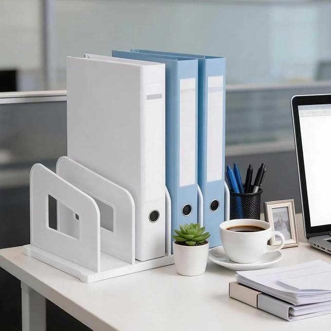 LALOBLUE File Organizer, Acrylic Folder Organizer File Sorter, Plastic Vertical Dividers for Magazine Mail Letter Paper, Desktop Organizers for Office, Classroom & Home(4 Sections, 2 Pack), White