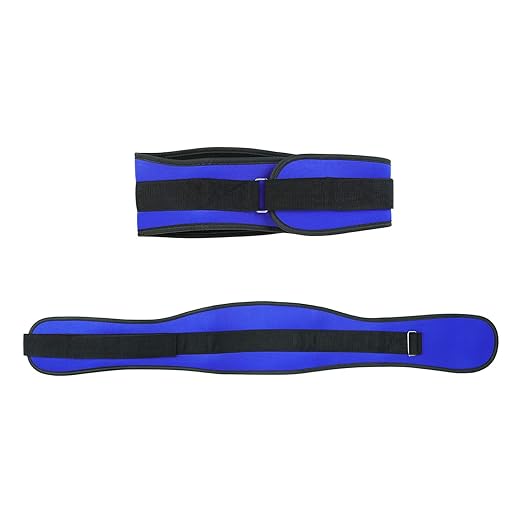 Back Support Lumbar Support Belt Lower Back Brace for Pain Relief Sciatica Herniated Disc Scoliosis Posture Correction Adjustable Mesh Support Straps for Men Women Fitness Waist Protection (Blue, L)