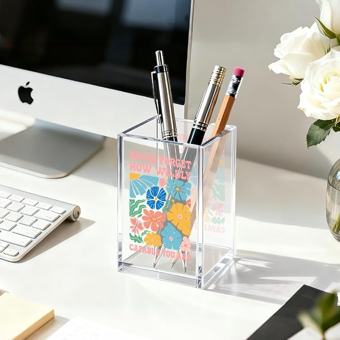 How Wildly Capable You Are Acrylic Cosmetic Organizer Pen Holder, Mental Health Desk Storage Accessory for Pencil, Inspirational Office Gifts for Coworker Leader Director Boss Bestie