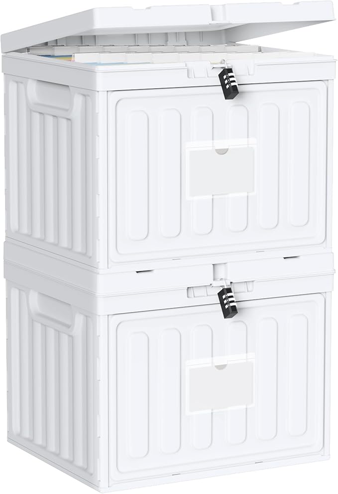 2 Drawer File Cabinets,Plastic File Box for Letter Size Hanging File Folders, Easy Carry Small File Cabinet for Home, Office, School,Stackable Storage Filling Box, White