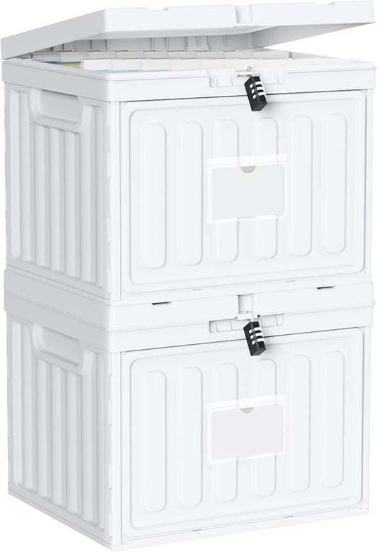 2 Drawer File Cabinets,Plastic File Box for Letter Size Hanging File Folders, Easy Carry Small File Cabinet for Home, Office, School,Stackable Storage Filling Box, White