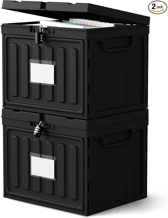 Oterri Plastic File Box with Lid for Letter Size Hanging File Folders, Hanging File Folder Box for Home, Office, School, File Cabinet, Assembly File Organizer, Black，Large-2 Pack Without Folders