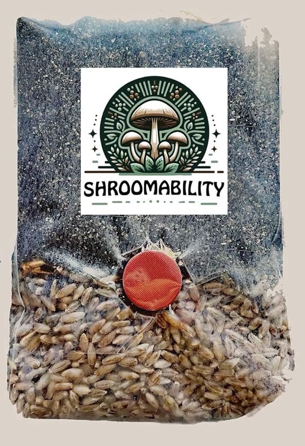 Shroomability Mini All-in-One Mushroom Grow Bags | Mushroom Grow Kit | Rye & Coco Coir Casing Mix (6 Bags)