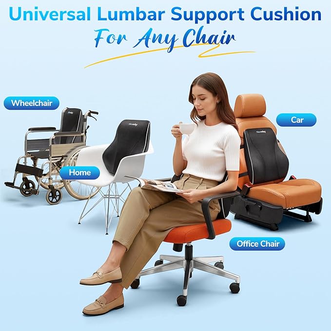 Niceeday Lumbar Support Pillow for Office Chair Car Lumbar Pillow Lower Back Pain Relief Memory Foam Back Cushion with 3D Mesh Cover, Back Pillow Ergonomic Orthopedic Back Rest