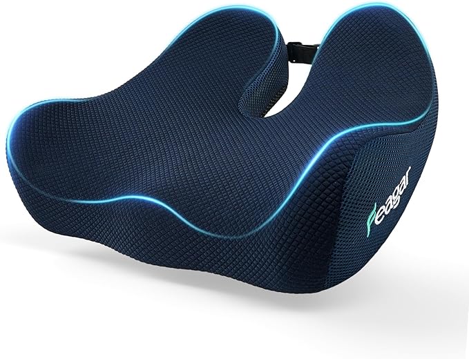 Feagar Seat Cushion for Office Chair - Memory Foam Tailbone Cushion for Desk Chair, Car Seat and Wheelchair - Ergonomic Chair Pad for Hip and Lower Back Comfort - Washable Mesh Cover Blue