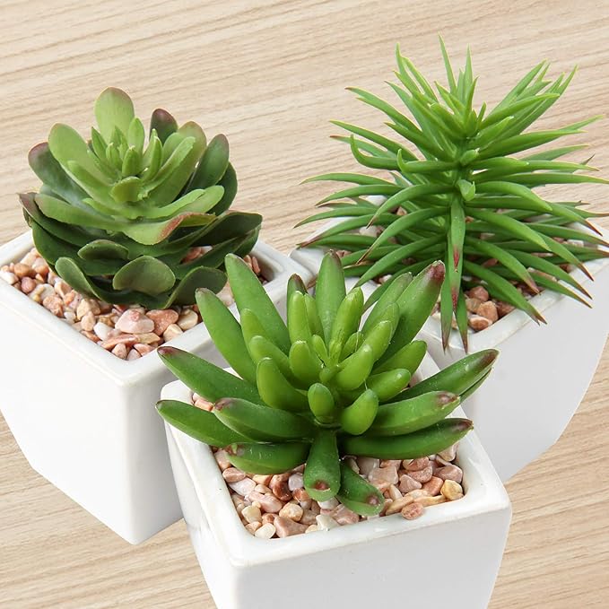Hollyone Small Faux Succulents in White Ceramic Pot 3Pcs Artificial Succulents Fake Plant Gifts Home Decor Accents Centerpieces Bathroom Decor Mum Gifts Greenery Decoration Succulents Wedding