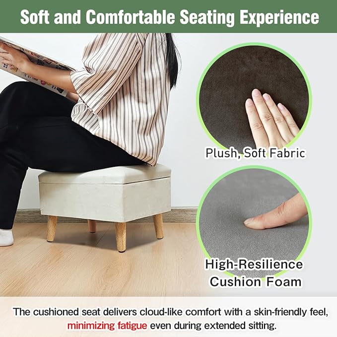 lumizone Small Ottoman Foot Rest Modern Storage Ottoman Foot Stool Padded Seat Pet Step for Dog Under Desk Stool for Living Room Bedroom Office Entryway (Brown)