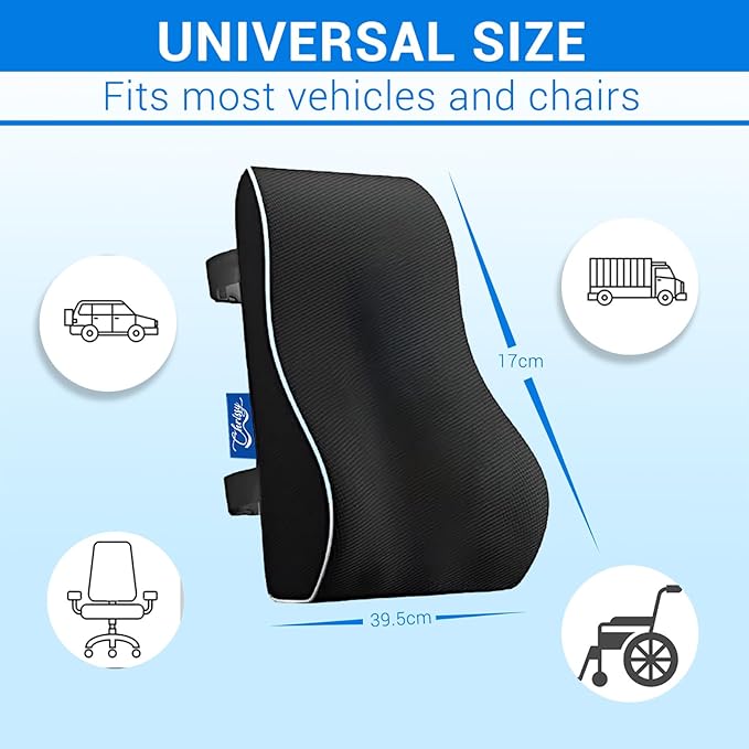 Chrissy Lumbar Support Pillow for Office Chair & Car | Memory Foam Back Cushion for Pain Relief & Posture Support | Breathable Mesh Cover, Adjustable Straps, Removable & Washable Cover