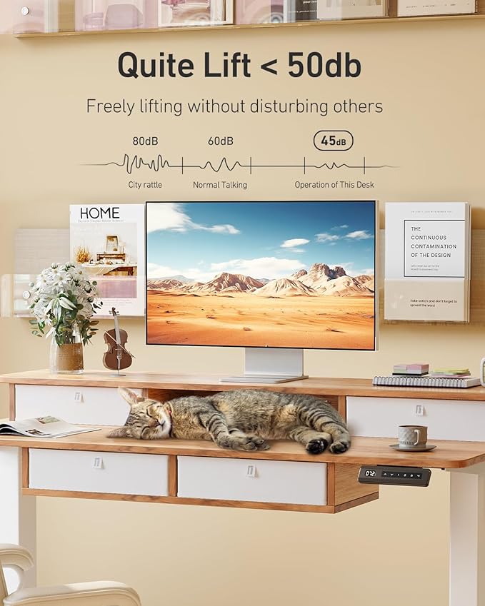 FEZIBO 48 x 24 inch Standing Desk with Drawers, Height Adjustable Electric Workstation, Computer Sit Stand Up Table with Large Storage Shelf 4 Drawers and 2 Hooks, Light Rustic Brown