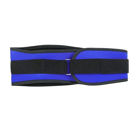 Back Support Lumbar Support Belt Lower Back Brace for Pain Relief Sciatica Herniated Disc Scoliosis Posture Correction Adjustable Mesh Support Straps for Men Women Fitness Waist Protection (Blue, L)