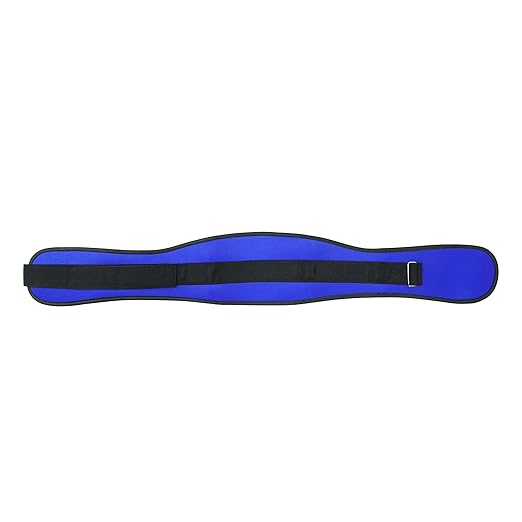 Back Support Lumbar Support Belt Lower Back Brace for Pain Relief Sciatica Herniated Disc Scoliosis Posture Correction Adjustable Mesh Support Straps for Men Women Fitness Waist Protection (Blue, L)