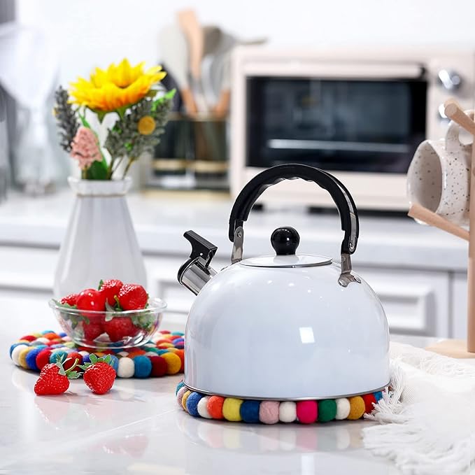 2 Pieces Felt Ball Trivet Round Felt Ball Coasters Handmade Trivet Multi Color Pot Mat Colorful Hot Plate Holder Heat Resistant Pot Holder for Table Desk Kitchen Decor Accessories