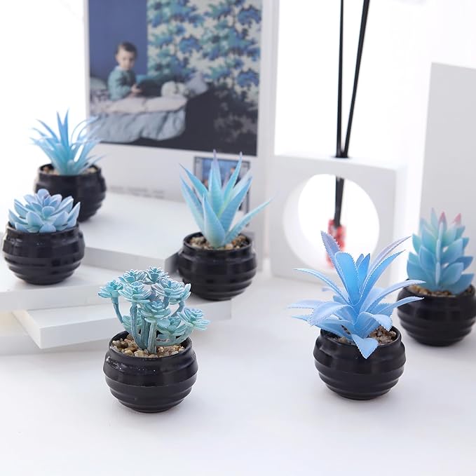 GREENTIME 6 Pcs Blue Mini Artificial Succulents in Plastic Pots Small Fake Plant Succulent Plant Graduation & Father Party Decorations Classmate Gift Faux Indoor Decor Bedroom Desk Bathroom Office