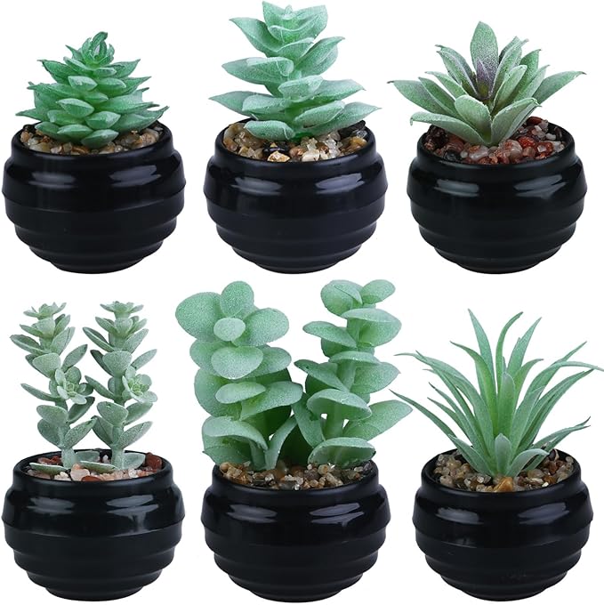 GREENTIME 6 Pcs Green Mini Artificial Succulents in Plastic Pots Small Fake Plant Succulent Plant Graduation & Father Party Decorations Classmate Gift Faux Indoor Decor Bedroom Desk Bathroom Table