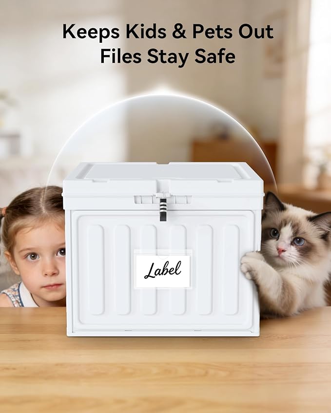 Oterri Plastic File Box with Lid for Letter Size Hanging File Folders, Hanging File Folder Box for Home, Office, School, File Cabinet, White, Large-1 Pack Without Folders