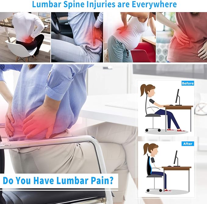 Lumbar Support Pillow,Memory Foam Back Support for Office Chair,Computer Chair,Car Seat,Recliner and Couch with Breathable 3D Mesh Cover,Ergonomic Design Orthopedic Backrest for Back Pain Relief