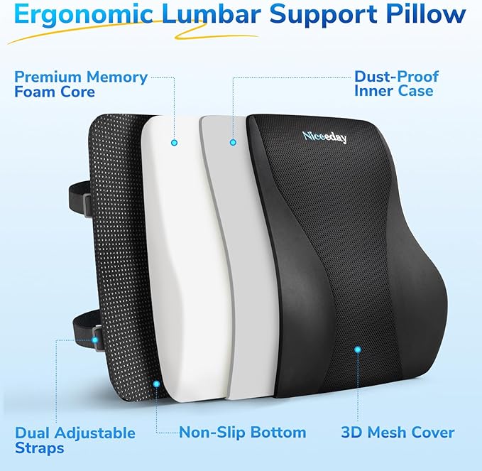 Niceeday Lumbar Support Pillow for Office Chair Car Lumbar Pillow Lower Back Pain Relief Memory Foam Back Cushion with 3D Mesh Cover, Back Pillow Ergonomic Orthopedic Back Rest