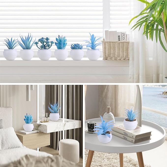 GREENTIME 6 Pcs Blue Mini Artificial Succulents in Plastic Pots Small Fake Plant Succulent Plant Graduation & Father Party Decorations Classmate Gift Faux Indoor Decor Bedroom Desk Bathroom Shelf