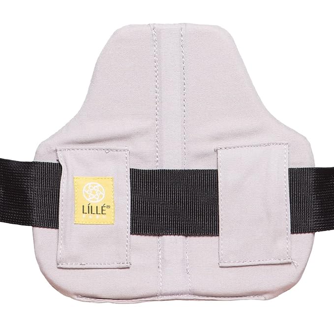LÍLLÉbaby 3-in-1 Ergonomic CarryOn Airflow Toddler Carrier with Lumbar Support & Breathable Mesh Lining (25-60 lbs), Supportive & Comfortable, Multi-Position Carrying for Hiking & Travel (Mist)