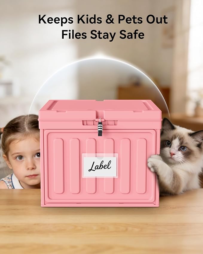 Oterri Plastic File Box with Lid for Letter Size Hanging File Folders, Hanging File Folder Box for Home, Office, School, File Cabinet, Assembly File Organizer, Pink，Large-1 Pack Without Folders