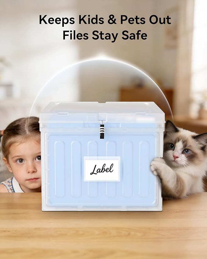 Oterri Plastic File Box with Lid for Letter Size Hanging File Folders, Hanging File Folder Box for Home, Office, School, File Cabinet, Assembly File Organizer, Clear，Large-1 Pack Without Folders
