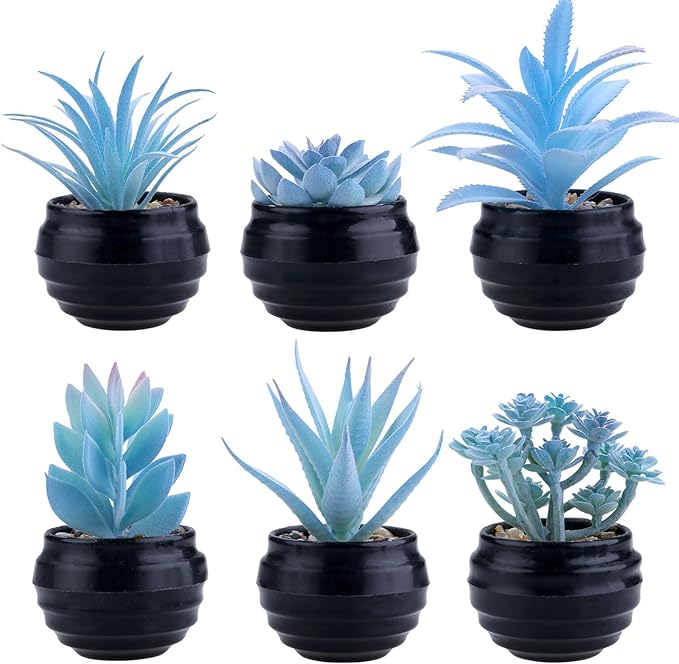 GREENTIME 6 Pcs Blue Mini Artificial Succulents in Plastic Pots Small Fake Plant Succulent Plant Graduation & Father Party Decorations Classmate Gift Faux Indoor Decor Bedroom Desk Bathroom Office