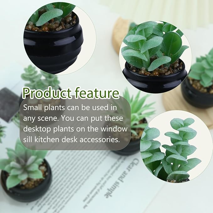 GREENTIME 6 Pcs Green Mini Artificial Succulents in Plastic Pots Small Fake Plant Succulent Plant Graduation & Father Party Decorations Classmate Gift Faux Indoor Decor Bedroom Desk Bathroom Table