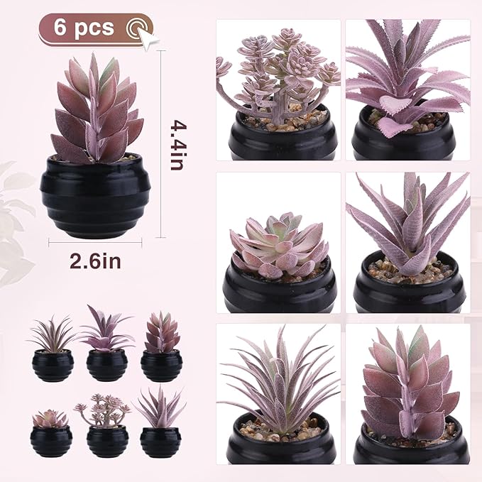 GREENTIME 6 Pcs Purple Artificial Succulents in Plastic Pots Graduation Decorations Classmate Gift Small Fake Succulent Plant for Women Room Office Bedroom Bathroom Table Shelf Teacher Appreciation