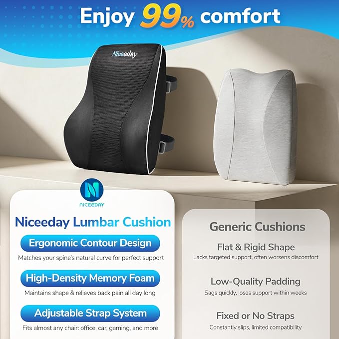 Niceeday Lumbar Support Pillow for Office Chair Car Lumbar Pillow Lower Back Pain Relief Memory Foam Back Cushion with 3D Mesh Cover, Back Pillow Ergonomic Orthopedic Back Rest