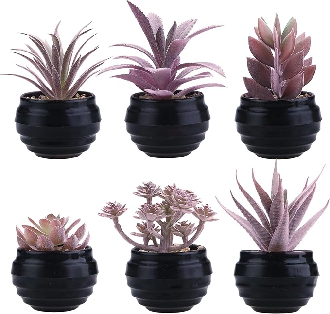 GREENTIME 6 Pcs Purple Artificial Succulents in Plastic Pots Graduation Decorations Classmate Gift Small Fake Succulent Plant for Women Room Office Bedroom Bathroom Table Shelf Teacher Appreciation